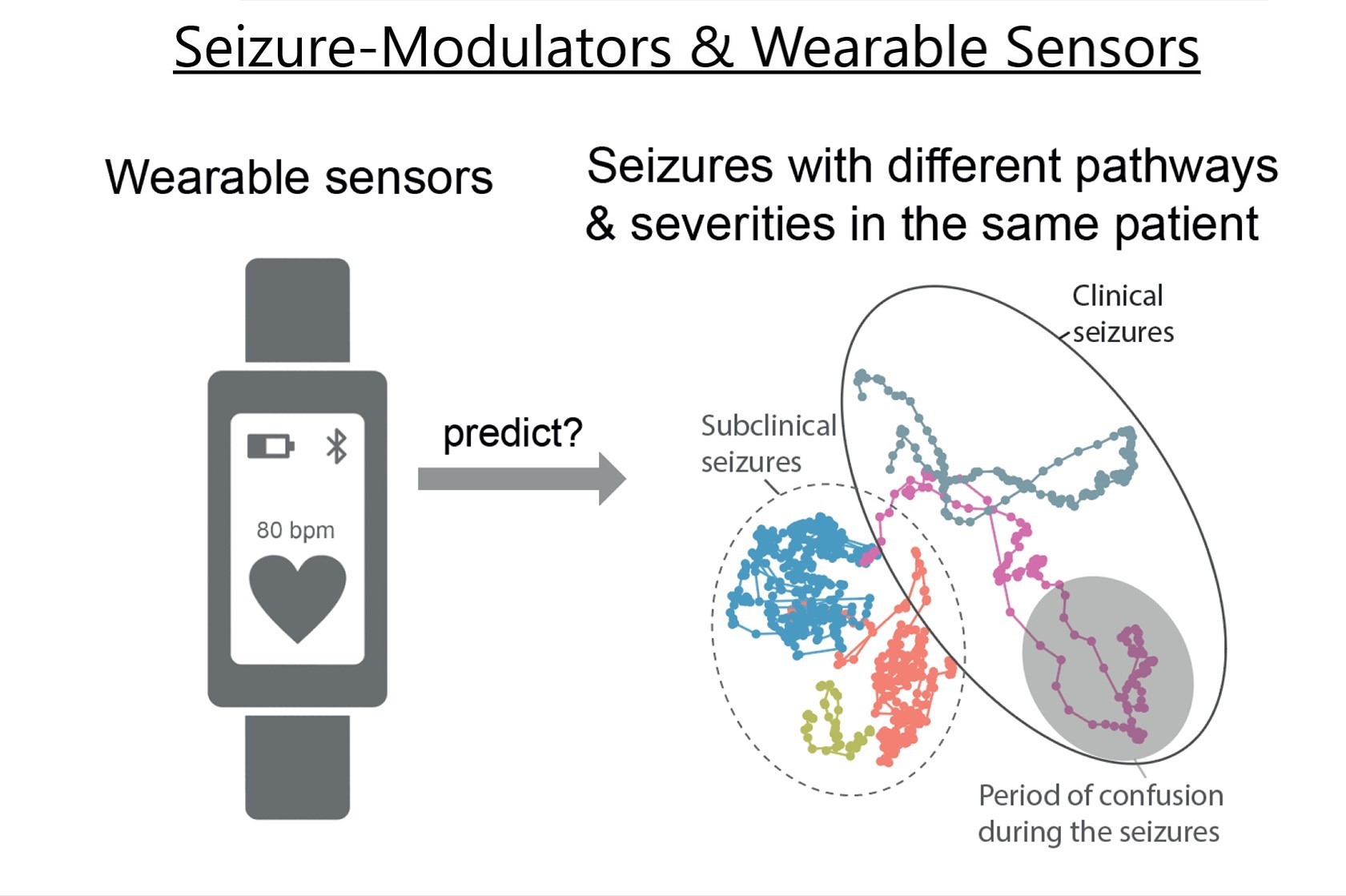 Project 3. Seizure Modulators and Wearable Sensors.